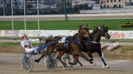 #8/12/2019 Ippicanews