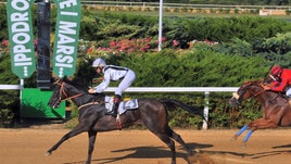 Da Corridonia a... Riyadh