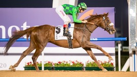 #19/1/2020 Ippicanews