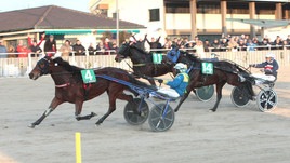 #20/1/2020 Ippicanews