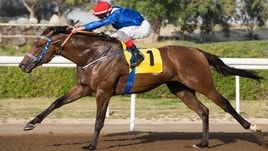 #22/2/2020 Ippicanews