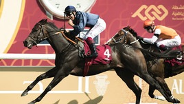 #23/2/2020 Ippicanews