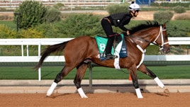 #26/2/2020 Ippicanews