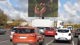 #21/3/2020 Ippicanews