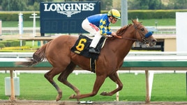 #7/5/2020 Ippicanews