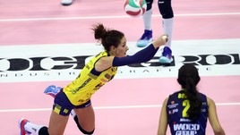 Moki De Gennaro pantera a vita