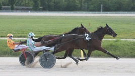 #27/5/2020 Ippicanews