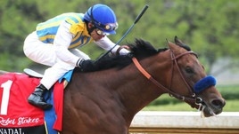 #29/5/2020 Ippicanews