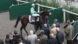 Rebus Parioli e Regina Elena