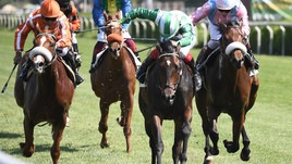 Parioli e Regina Elena salvi