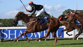 Granatina arriva in Cima