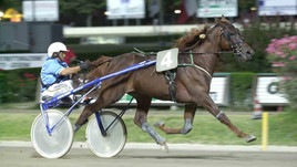 #26/6/2020 Ippicanews