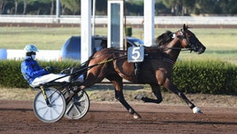 Always Ek pedala alla grande