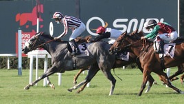 Auyantepui, Oaks e saluti