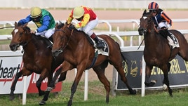 Dal debutto al Derby