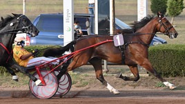 I partenti di Derby e Oaks