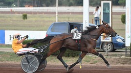 Gocciadoro e il Derby stregato