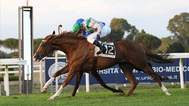 #14/10/2020 Ippicanews