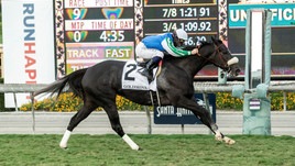 #26/10/2020 Ippicanews