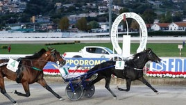 Zacon Gio, l'urlo di Agnano