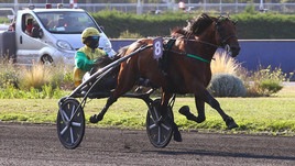 #12/11/2020 Ippicanews