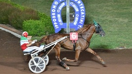 #22/11/2020 Ippicanews