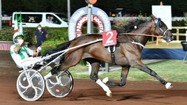 #21/11/2020 Ippicanews