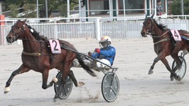 #23/12/2020 Ippicanews