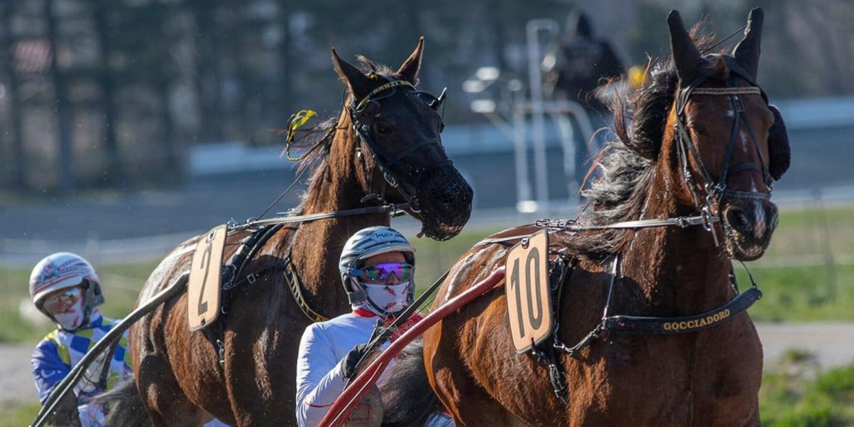 GP Orlandi in equilibrio