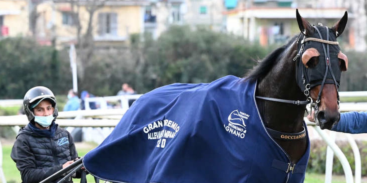 A.A.A. cercasi disciplinare Derby