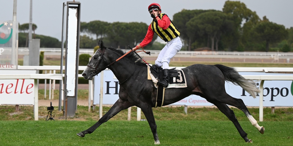 Tokyo Gold cerca altri Derby Tokyo Gold cerca altri Derby