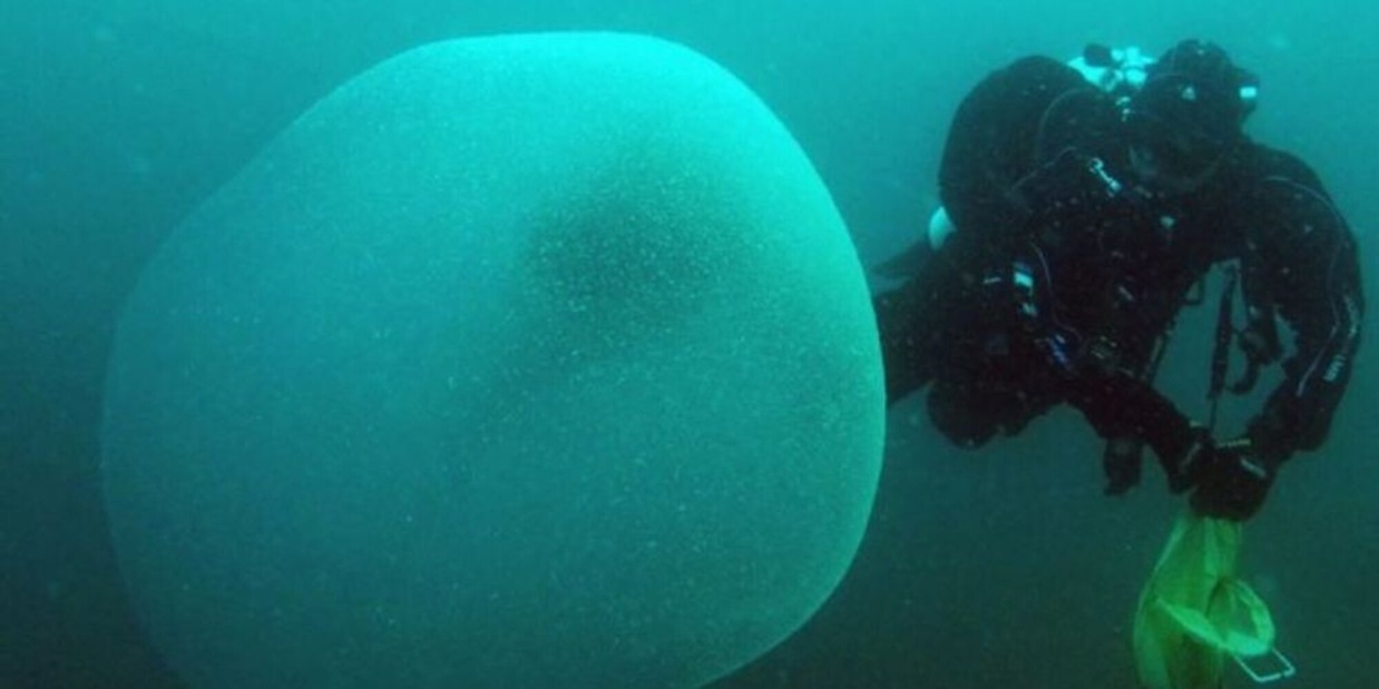 Maiorca, scoperte misteriose sfere gelatinose