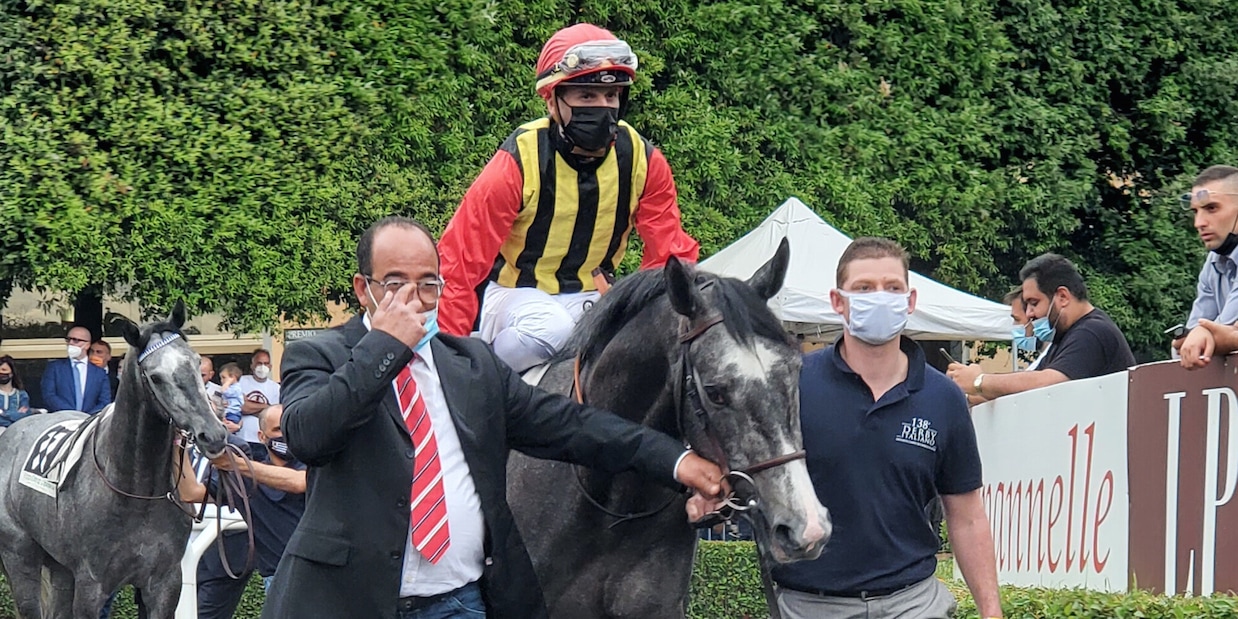 Tokyo Gold cerca un altro Derby Tokyo Gold cerca un altro Derby