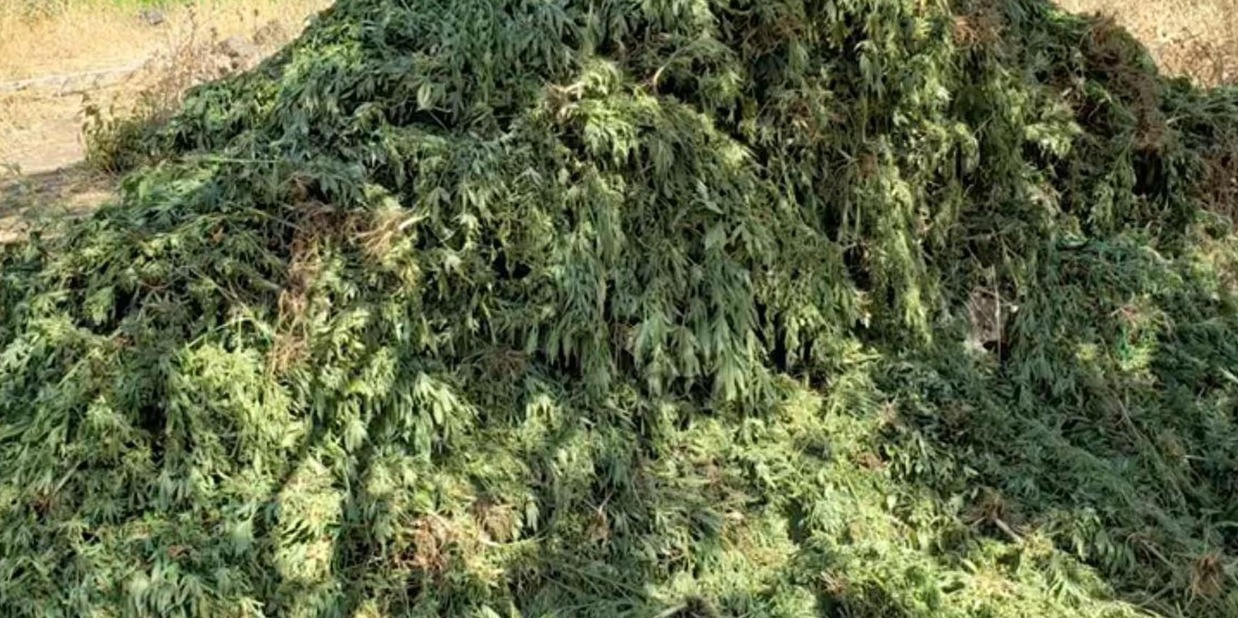 Malta approva la legalizzazione della cannabis ricreativa