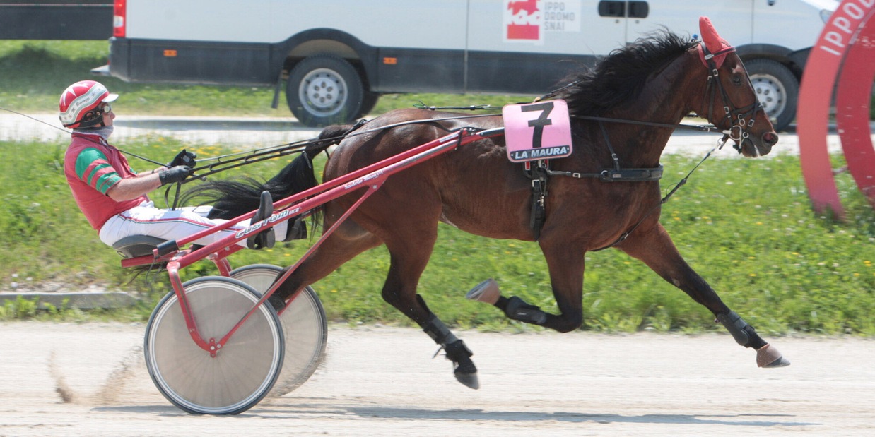La Federnat vince al TAR