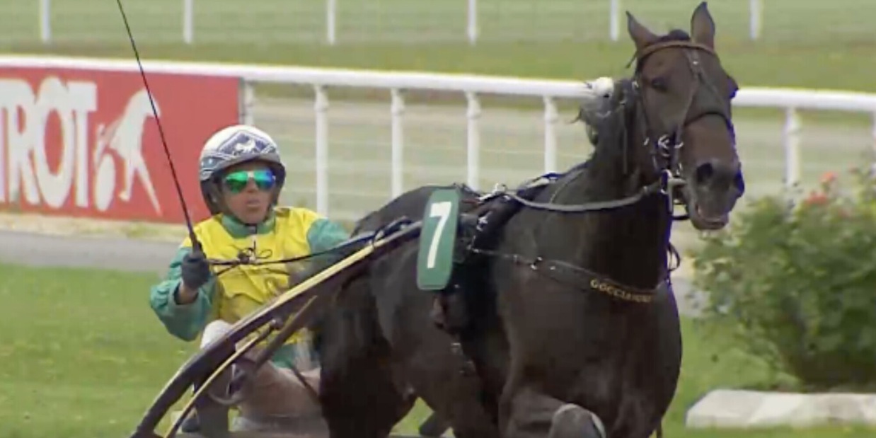 Vivid con l'1 nel France