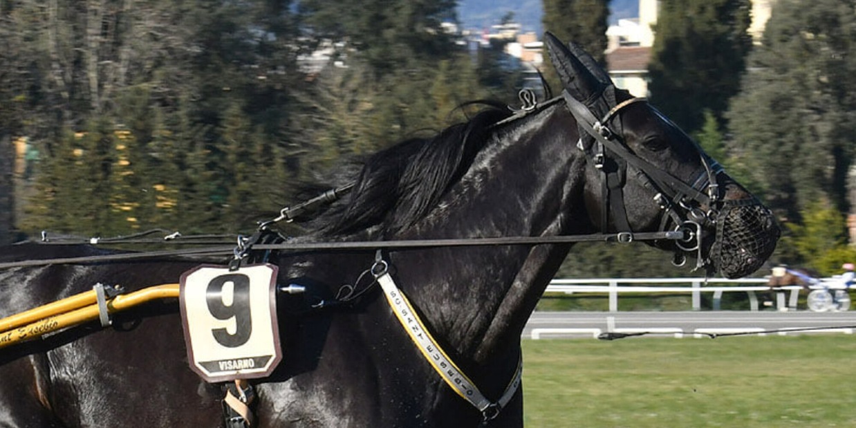 Occasione per Chuky Roc