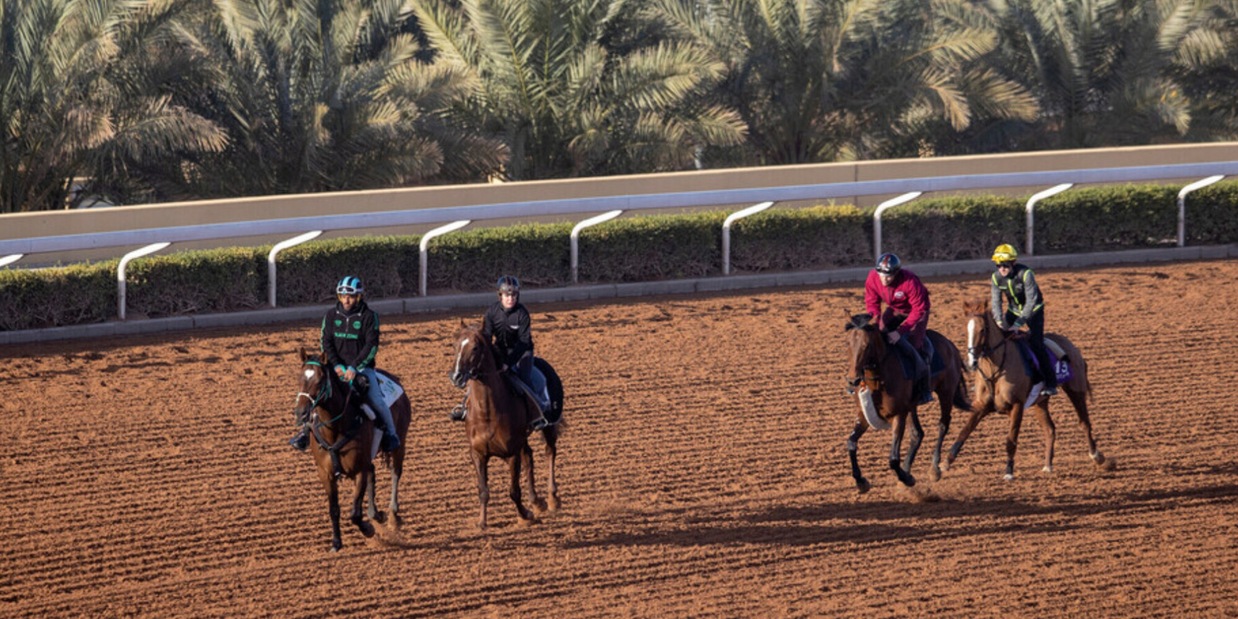 Riyadh, i campi sono fatti