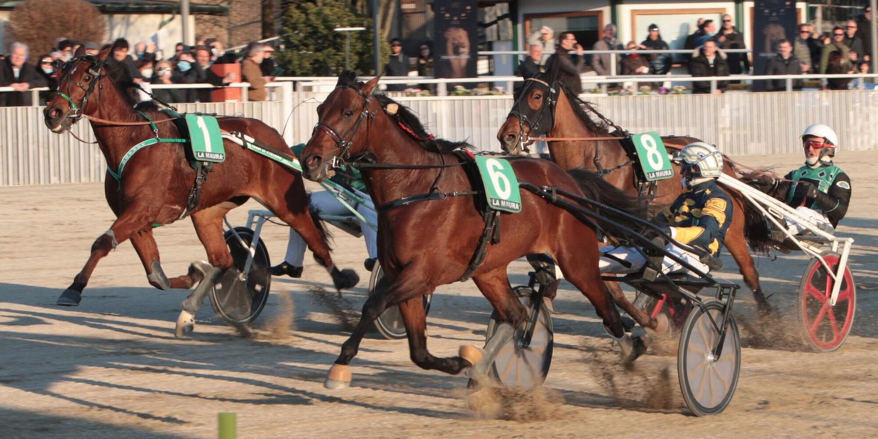 Vernissage, brutto rientro