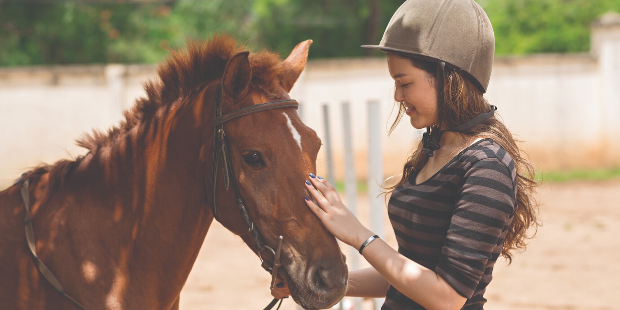 Cavalli e pony, terapia speciale per i giovani