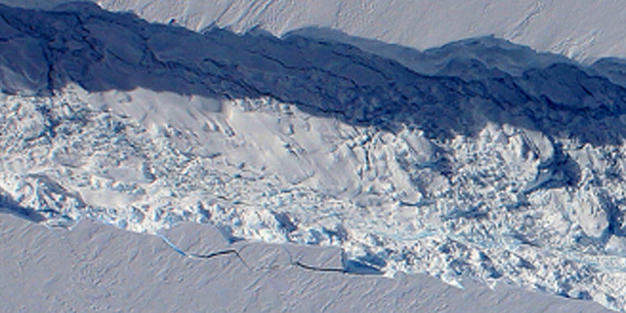 Il virus zombie mette a rischio il mondo: “Un pericolo reale”