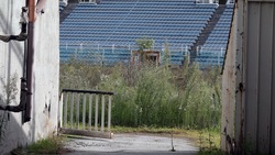 Guardate il Flaminio com'è ridotto FOTO
