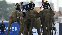 Thailandia, la sfida di polo...sugli elefanti!