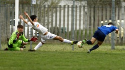 Allievi Regionali - Volpiano-Accademia Verbania