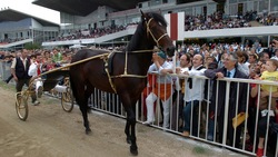 Stadio Roma: quando a Tor di Valle sfilava Varenne...