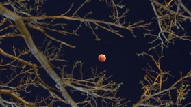 La super luna rossa e l'eclissi che fa sognare il mondo