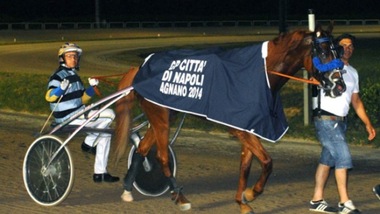 Ippica, Sceicco perno del Nazionale