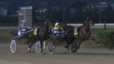 Ippica, domenica a Napoli torna la “Speed Race”