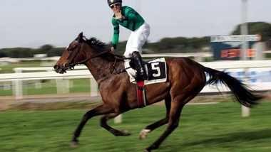 Ippica, separazione tra Vargiu e Blueberry