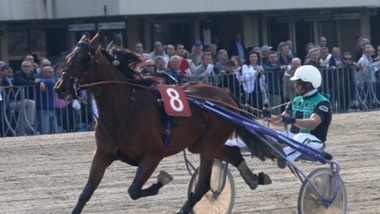 Ippica, in 16 a Modena nel GP Giovanardi